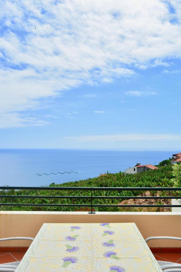 Apartament Jardim Do Arco "Esmee" Arco da Calheta  Zewnętrze zdjęcie
