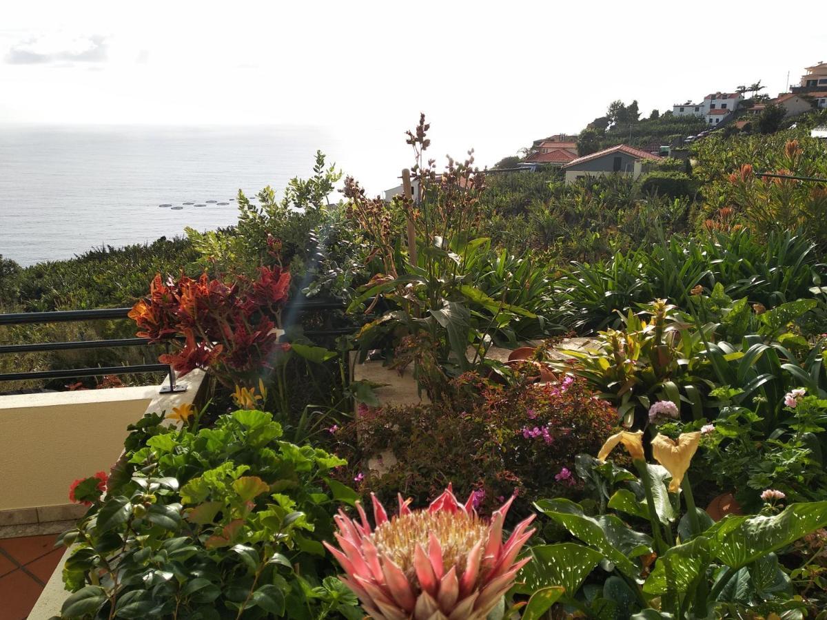 Apartament Jardim Do Arco "Esmee" Arco da Calheta  Zewnętrze zdjęcie