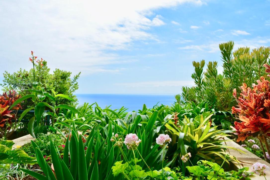 Apartament Jardim Do Arco "Esmee" Arco da Calheta  Zewnętrze zdjęcie