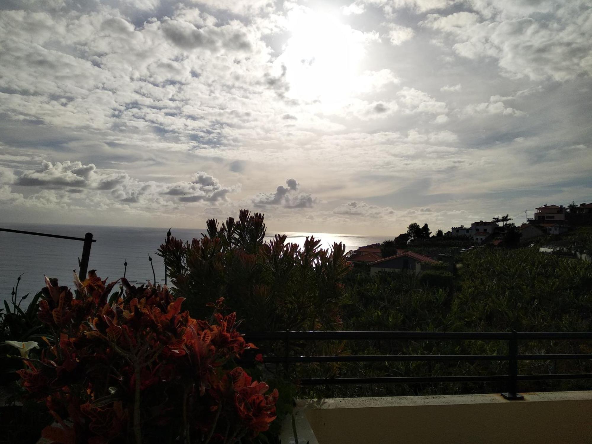 Apartament Jardim Do Arco "Esmee" Arco da Calheta  Zewnętrze zdjęcie