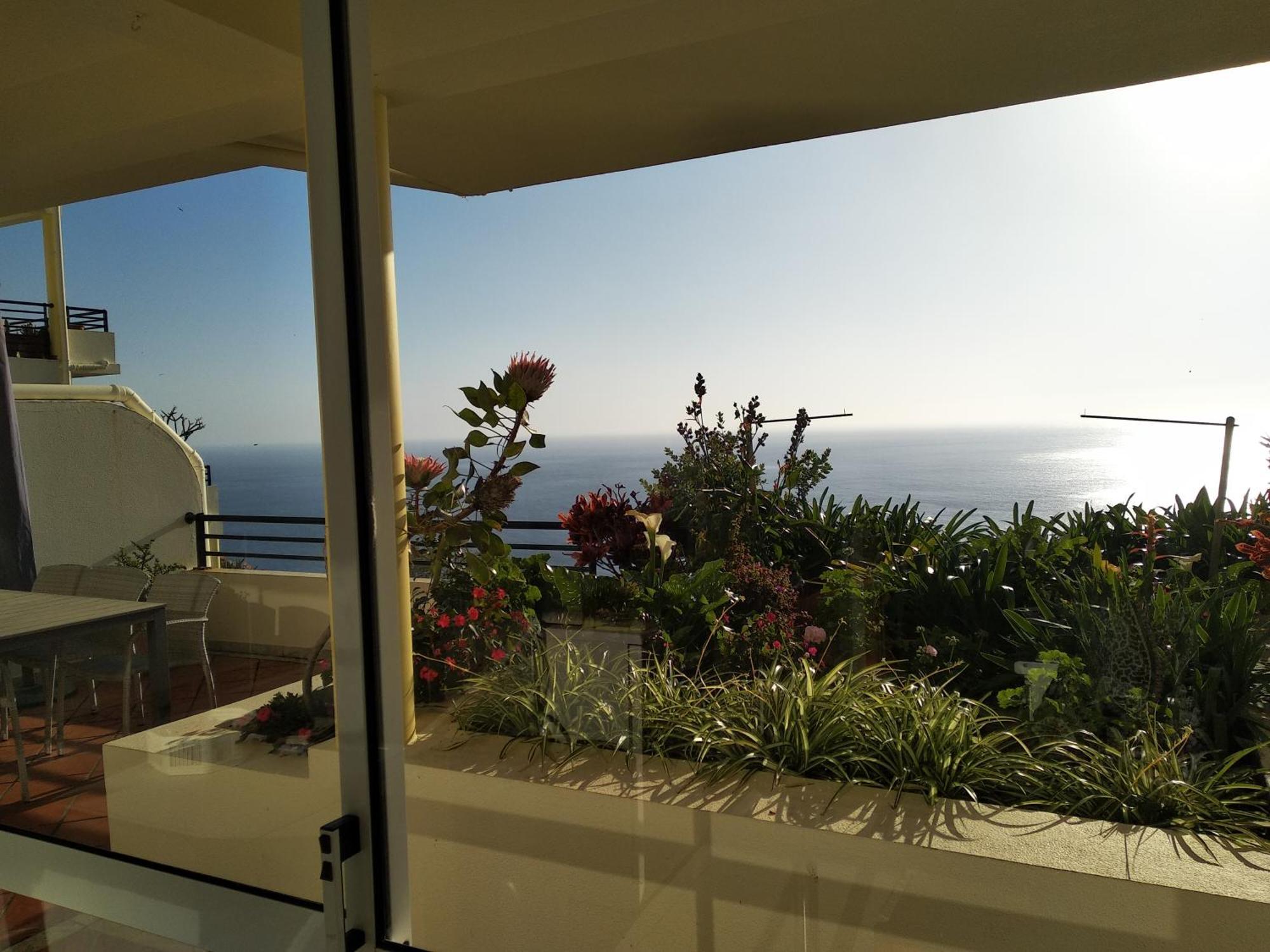 Apartament Jardim Do Arco "Esmee" Arco da Calheta  Zewnętrze zdjęcie