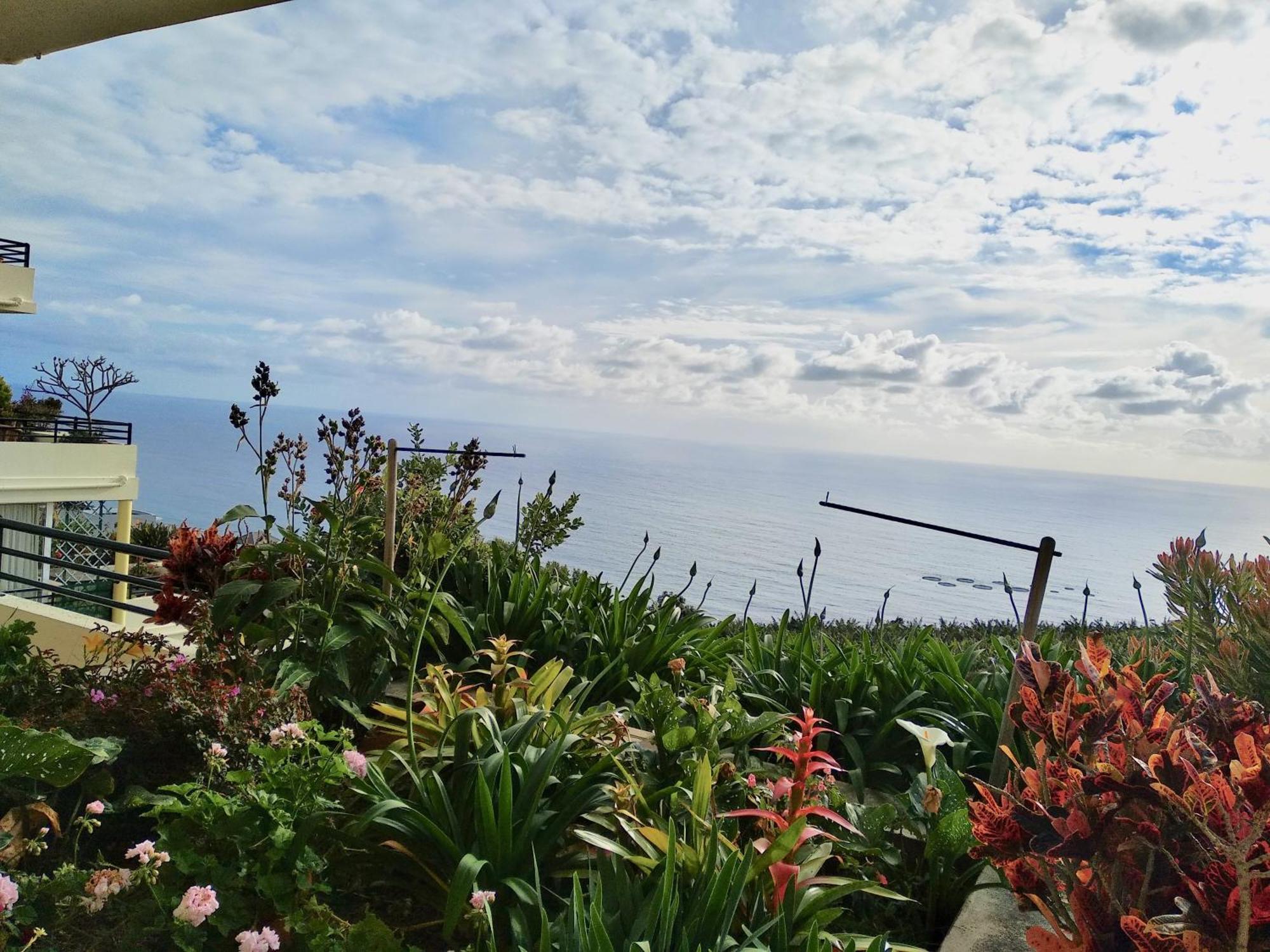 Apartament Jardim Do Arco "Esmee" Arco da Calheta  Zewnętrze zdjęcie