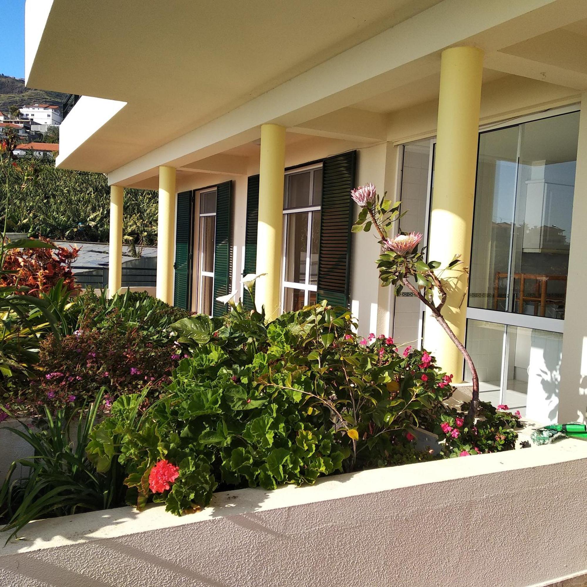 Apartament Jardim Do Arco "Esmee" Arco da Calheta  Zewnętrze zdjęcie